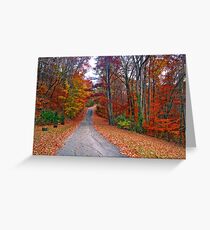 *MY FAVORITE COUNTRY ROAD* Greeting Card