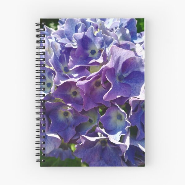 Item preview, Blue hydrangea in detail photograph designed and sold by esvb.