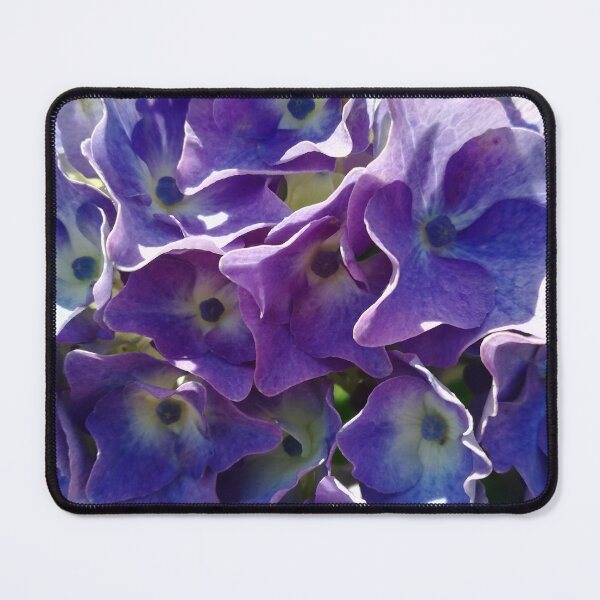 Item preview, Blue hydrangea in detail photograph designed and sold by esvb.