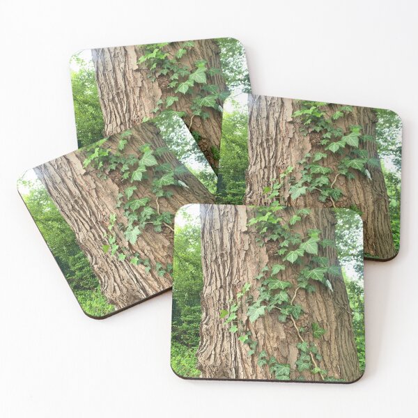 Item preview, Ivy on an old tree trunk designed and sold by BariMou.