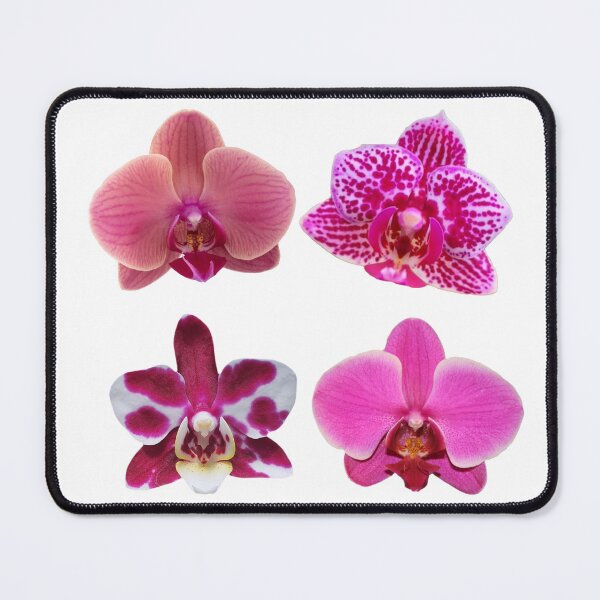 Item preview, Orchidaceae designed and sold by c.clementine.
