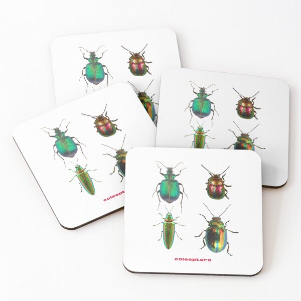 Item preview, Coleoptera // Beetle designed and sold by c.clementine.