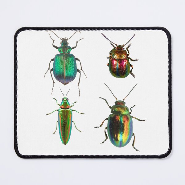 Item preview, Coleoptera // Beetle designed and sold by c.clementine.