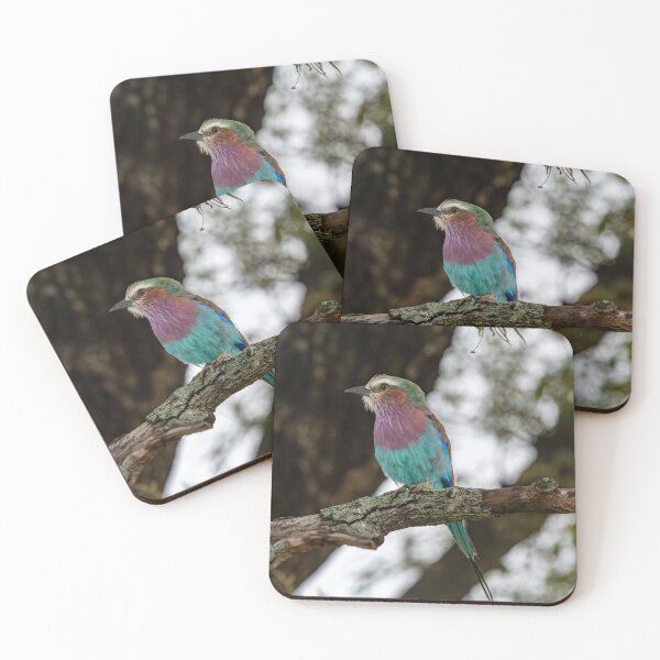 Item preview, Lilac-breasted Roller designed and sold by Exaisle.