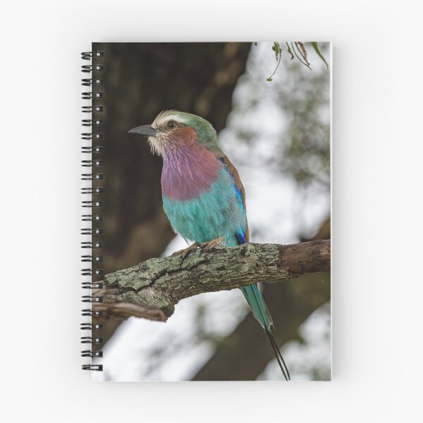 Item preview, Lilac-breasted Roller designed and sold by Exaisle.