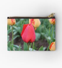 solid colored Studio Pouch