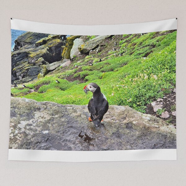 Item preview, Frailecillo con pez en el pico, Irlanda designed and sold by FranWest.