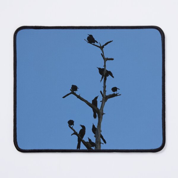 Item preview, Grackle meeting designed and sold by Jmb67.