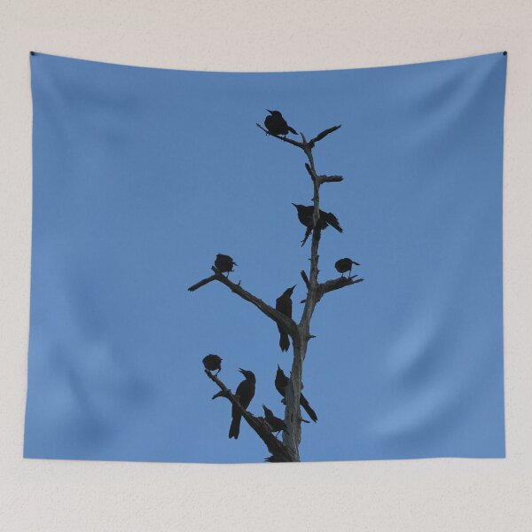 Item preview, Grackle meeting designed and sold by Jmb67.