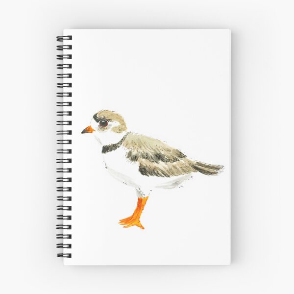 Item preview, Watercolor Piping Plover designed and sold by Brandi Wheeler.