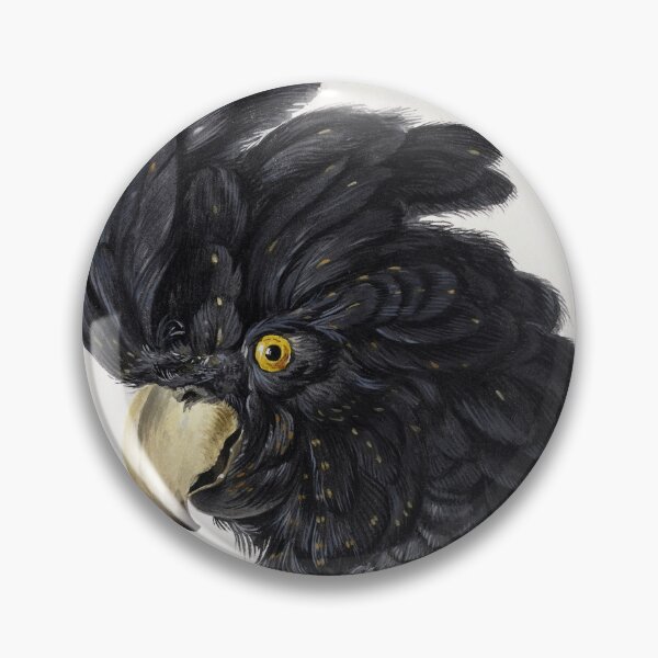 Item preview, Head of a Cockatoo (1725 - 1792) by Aert Schouman designed and sold by PureVintageLove.