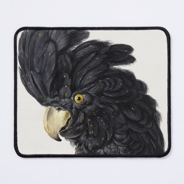 Item preview, Head of a Cockatoo (1725 - 1792) by Aert Schouman designed and sold by PureVintageLove.