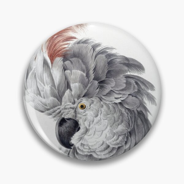 Item preview, White & Pink Cockatoo (1725 - 1792) by Aert Schouman designed and sold by PureVintageLove.