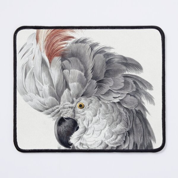 Item preview, White & Pink Cockatoo (1725 - 1792) by Aert Schouman designed and sold by PureVintageLove.