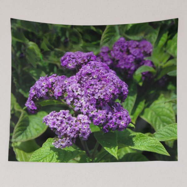 Item preview, Lovely Lilac designed and sold by heatherfriedman.