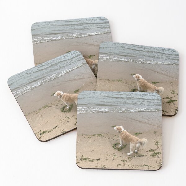 Item preview, Louie Sees the Ocean for the First Time designed and sold by Casini Creative.