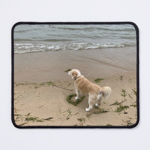 Item preview, Louie Sees the Ocean for the First Time designed and sold by Casini Creative.