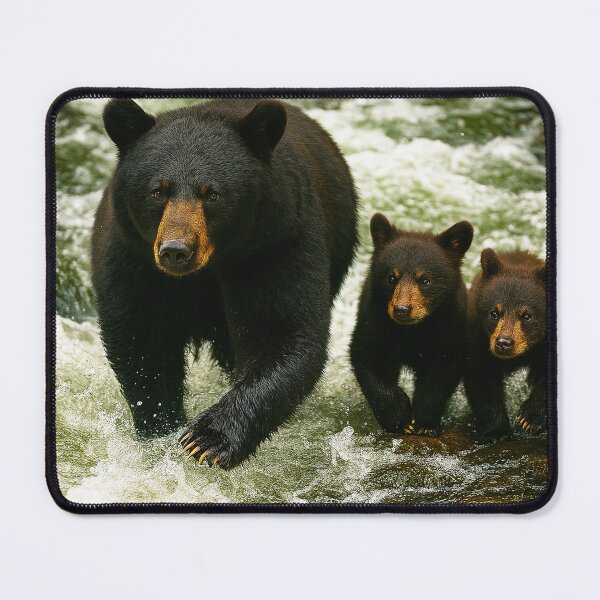 Item preview, River Crossing - Momma Bear and Cubs designed and sold by NaturePrints.
