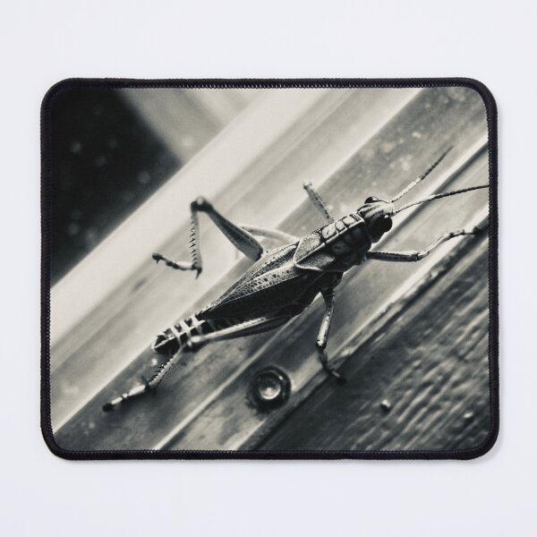 Item preview, hey man, theres a bug,,,, designed and sold by Dante Hadley.
