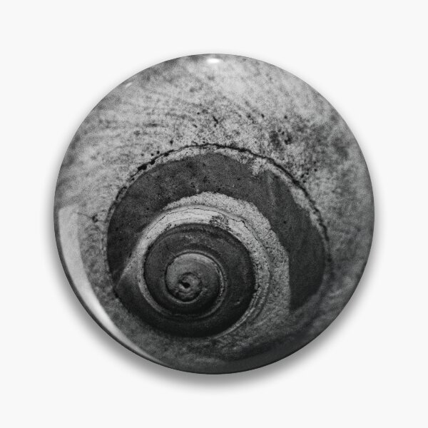 Item preview, Moon Snail designed and sold by B5photo.