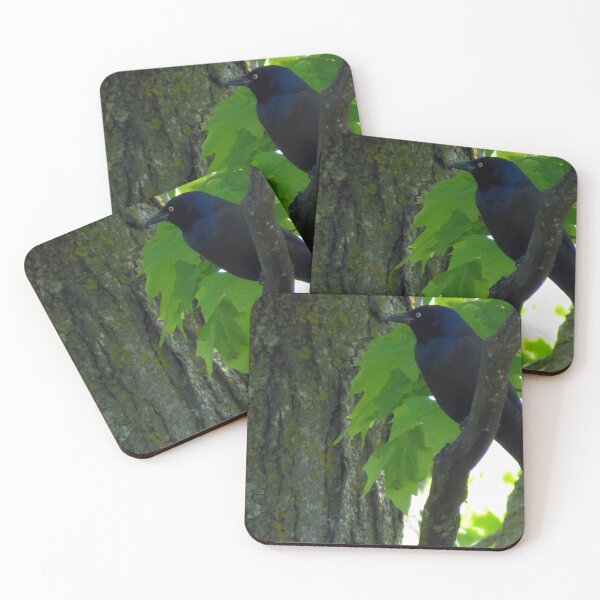 Item preview, Grackle designed and sold by AMarion418.