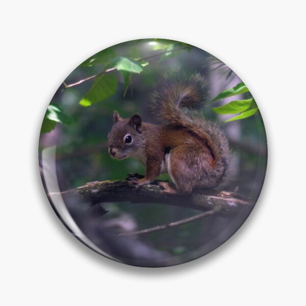 Item preview, Red Squirrel  designed and sold by AMarion418.