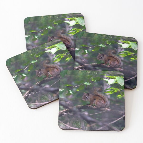 Item preview, Red Squirrel  designed and sold by AMarion418.
