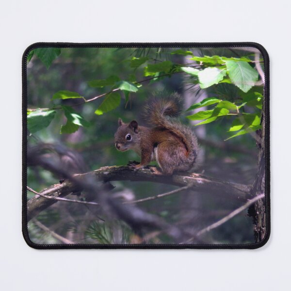 Item preview, Red Squirrel  designed and sold by AMarion418.