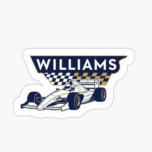 1/18　ウィリアムズ FW16　#5 D.ヒル 1995 Rothmansロゴ 1/18 ウィリアムズ FW16 #5 D.ヒル 1995 Rothmansロゴ 1:18