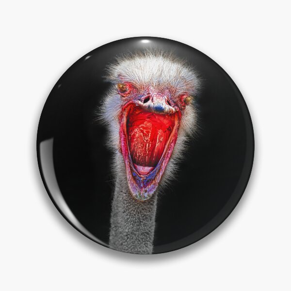 Item preview, “I’m outraged!” designed and sold by Alex Preiss.
