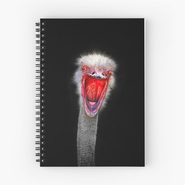 Item preview, “I’m outraged!” designed and sold by Alex Preiss.