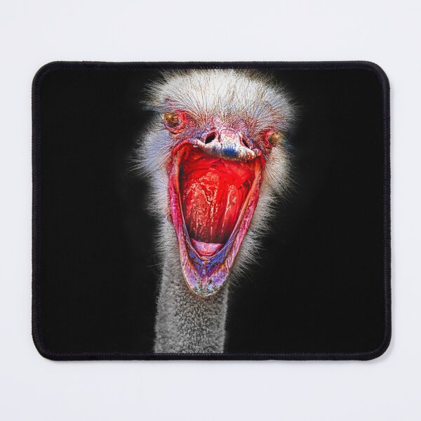Item preview, “I’m outraged!” designed and sold by Alex Preiss.