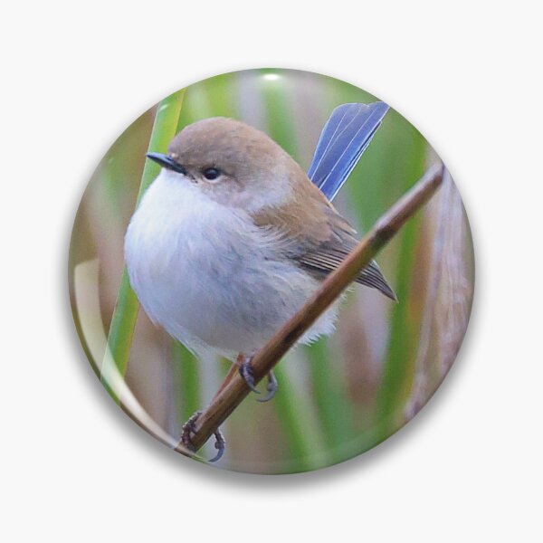 Item preview, Blue Wren designed and sold by Jassy046.