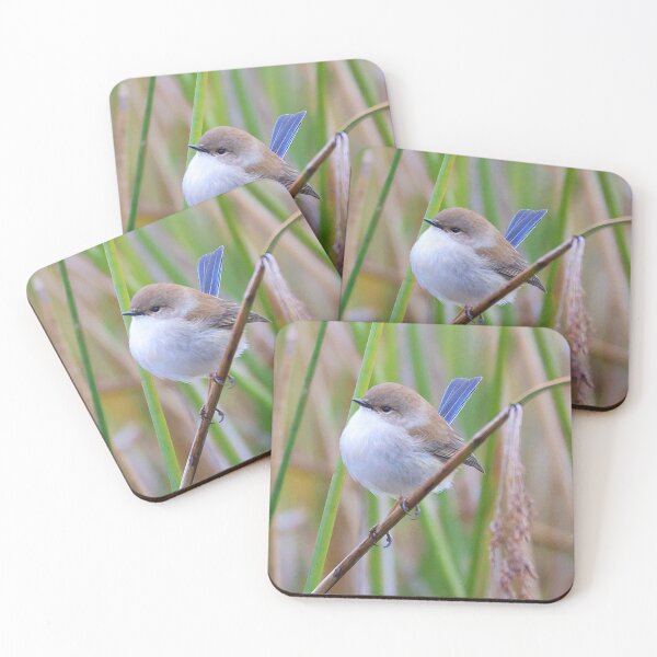 Item preview, Blue Wren designed and sold by Jassy046.