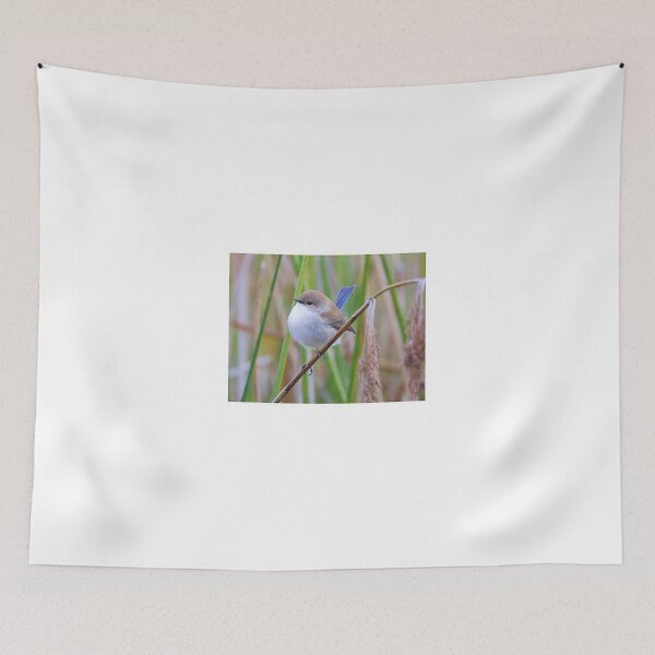 Item preview, Blue Wren designed and sold by Jassy046.