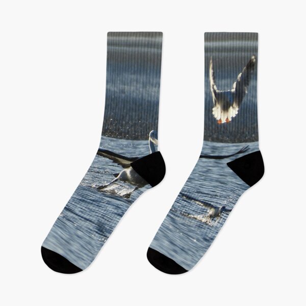 Item preview, Pelican take off Dundowran Beach designed and sold by Mark Grimsley.