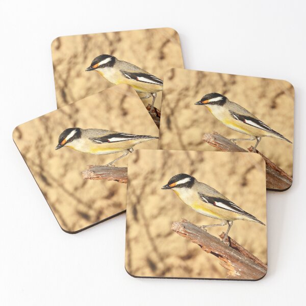 Item preview, Striated Pardalote Dundowran Beach  designed and sold by Mark Grimsley.
