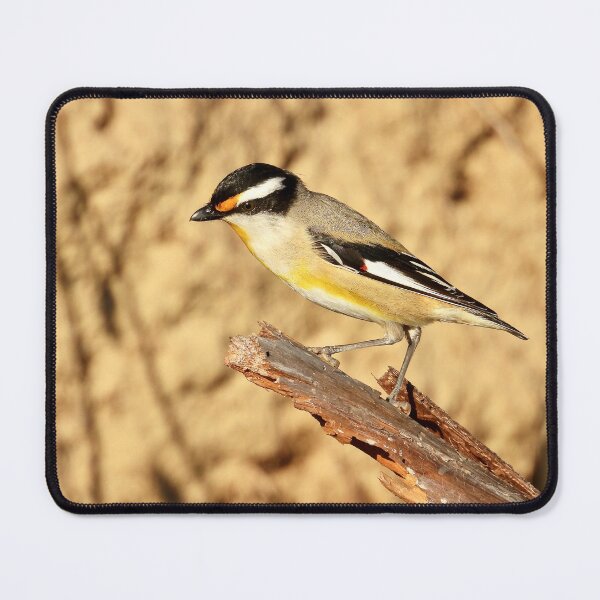Item preview, Striated Pardalote Dundowran Beach designed and sold by Mark Grimsley.