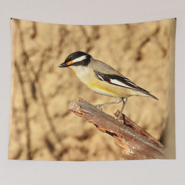 Item preview, Striated Pardalote Dundowran Beach  designed and sold by Mark Grimsley.