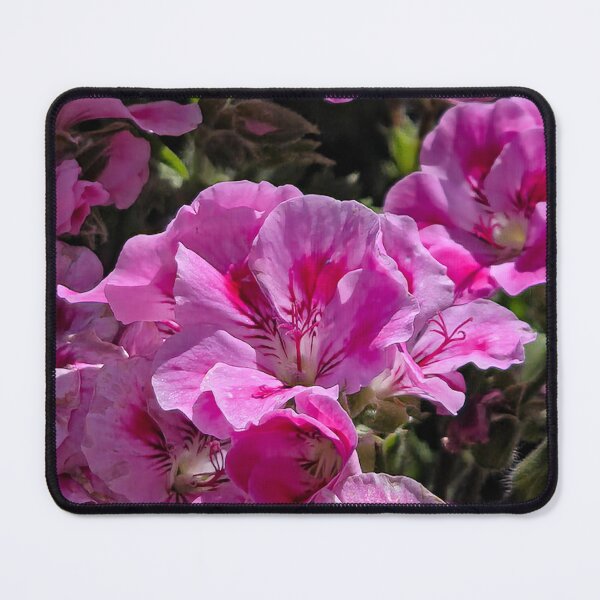 Item preview, Nature's Painting designed and sold by Betsy Phillips.