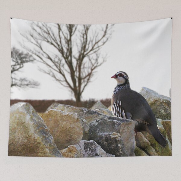Item preview, Winter Partridge designed and sold by Murph's Images.