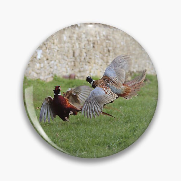 Item preview, Fighting Cocks designed and sold by Murph's Images.