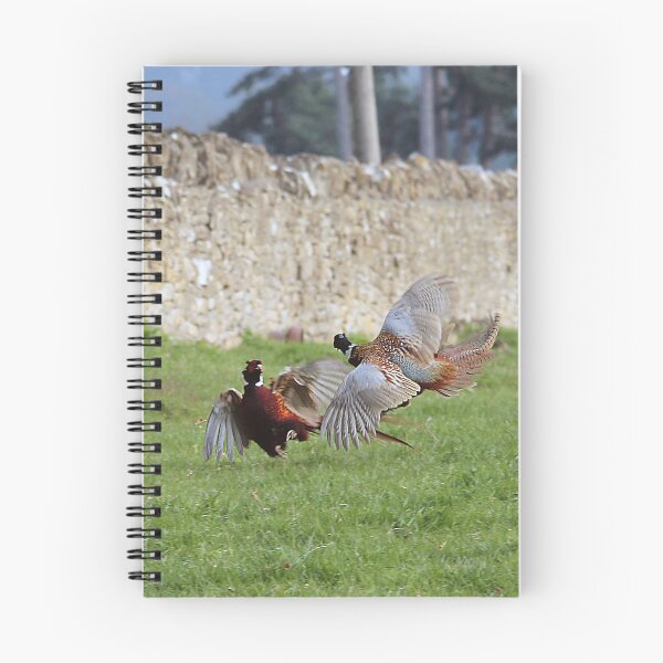 Item preview, Fighting Cocks designed and sold by Murph's Images.