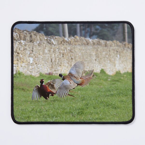 Item preview, Fighting Cocks designed and sold by Murph's Images.