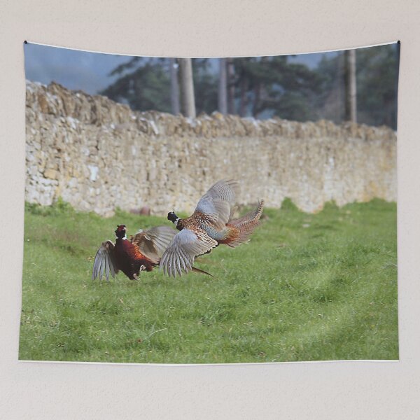 Item preview, Fighting Cocks designed and sold by Murph's Images.