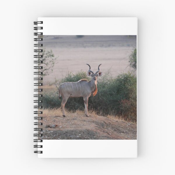 Item preview, Stunning kudu  designed and sold by RosJoy.