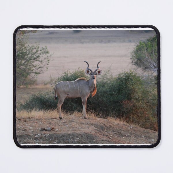 Item preview, Stunning kudu  designed and sold by RosJoy.