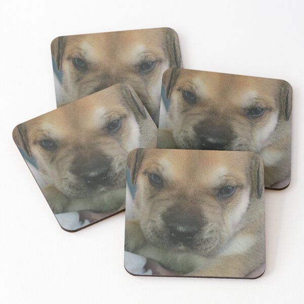 Item preview, Perfect pup designed and sold by RosJoy.