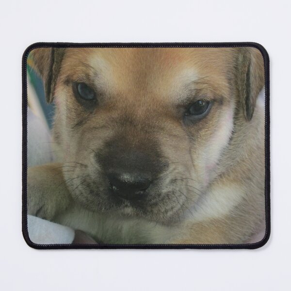 Item preview, Perfect pup designed and sold by RosJoy.