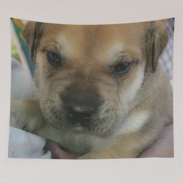 Item preview, Perfect pup designed and sold by RosJoy.